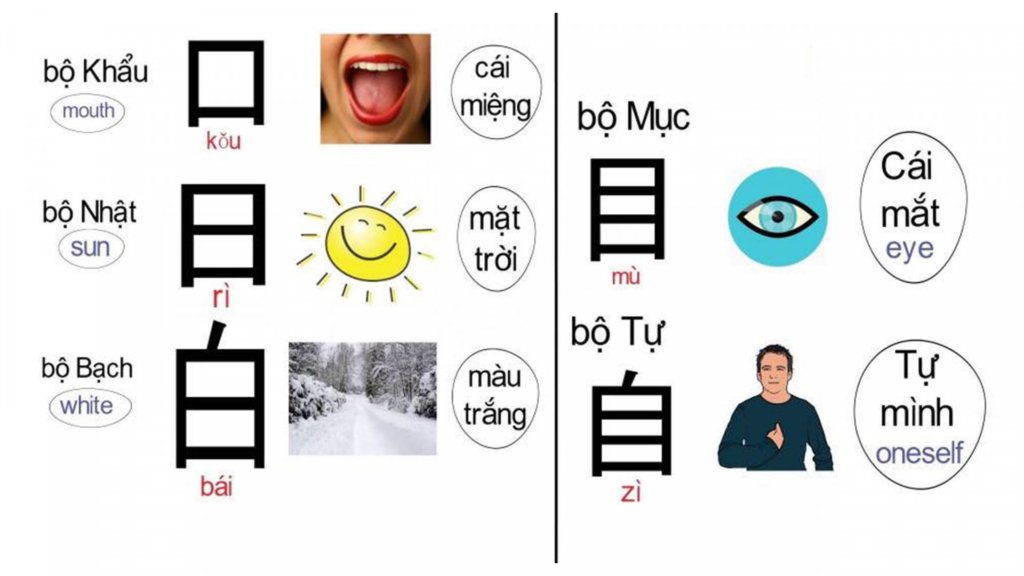 Gia sư tiếng Trung Chuyên Nghiệp Hải Phòng